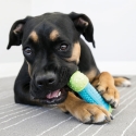 Kong Corestrength Bone Juguete Para Perro