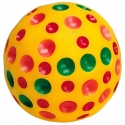 Pelota Vinilo Ferplast 6014 Para Perro Grande