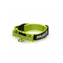 Collar Julius K9 Color&Gray Con Asa Neón