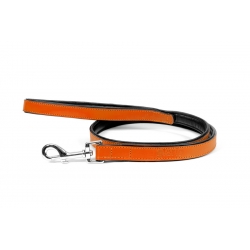 Correa Gloria Pets De Piel Acolchado Color Naranja Para Perros