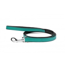 Correa Gloria Pets De Piel Acolchado Color Turquesa Para Perros
