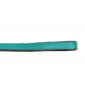 Correa Gloria Pets De Piel Acolchado Color Turquesa Para Perros