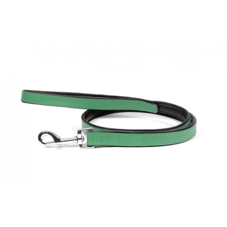 Correa Gloria Pets De Piel Acolchado Color Verde Para Perros