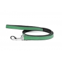 Correa Gloria Pets De Piel Acolchado Color Verde Para Perros