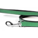 Correa Gloria Pets De Piel Acolchado Color Verde Para Perros