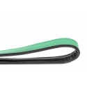 Correa Gloria Pets De Piel Acolchado Color Verde Para Perros