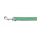 Correa Gloria Pets De Piel Acolchado Color Verde Para Perros