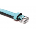 Collar Gloria Pets De Piel Acolchado Color Azul Para Perros