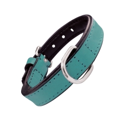 Collar Gloria Pets De Piel Acolchado Color Turquesa Para Perros