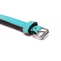 Collar Gloria Pets De Piel Acolchado Color Turquesa Para Perros