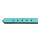 Collar Gloria Pets De Piel Acolchado Color Turquesa Para Perros