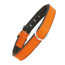 Collar Gloria Pets De Piel Acolchado Color Naranja Para Perros