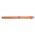 Collar Gloria Pets De Piel Acolchado Color Naranja Para Perros