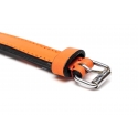 Collar Gloria Pets De Piel Acolchado Color Naranja Para Perros