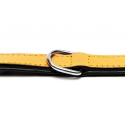 Collar Gloria Pets De Piel Acolchado Color Amarillo Para Perros
