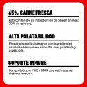Latas Plet para perros adultos. Cordero con calabacín