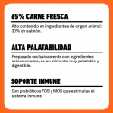 Latas Plet para perros adultos. Salmón con guisantes.