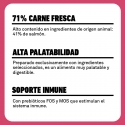 Latas Plet para Gatitos. Salmón con arroz.