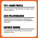 Latas Plet para Gatos esterilizados. Salmón con arroz.