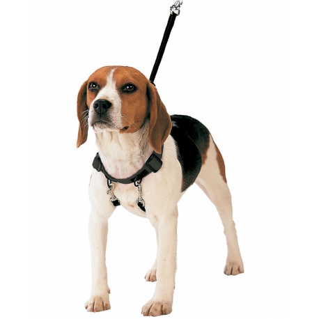 Arnés Corrector de Tiro Gloria Pets Para Perros