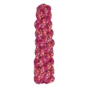 Cuerda Nayeco Dotty Trenza Para Perro 21 Cm
