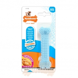 Mordedor Nylabone Blue Dental Chew Para Cachorro XS