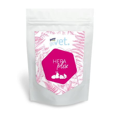 Bunny Suplemento Alimenticio GoVet Hepaplex 325 g