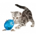 Juguete Interactivo FunKitty Egg Nayeco Para Gato