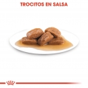 Royal Canin Maxi pack de sobres para perros adultos
