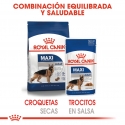 Royal Canin Maxi pack de sobres para perros adultos