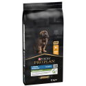 Puppy Large Robust