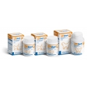 Prolivet Protector hepatico para perros y gatos