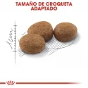 Royal Canin Sterilised 37