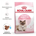 BabyCat Gestación/Lactancia (1)