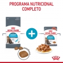 Royal Canin-Urinary Care Pouch 85 gr (1)