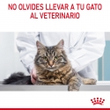 Royal Canin-Urinary Care Pouch 85 gr (1)