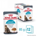 Royal Canin-Urinary Care Pouch 85 gr (1)