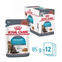 Royal Canin-Urinary Care Pouch 85 gr (1)