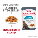 Royal Canin Cat Urinary Care Jelly Pouch 85 g