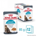 Royal Canin Cat Urinary Care Jelly Pouch 85 g