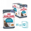 Royal Canin Cat Urinary Care Jelly Pouch 85 g