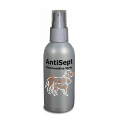 Spray Desinfectante Antisept para Perro y Gato (6)