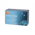 JTPharma-Entero Vital para Perro y Gato (1)