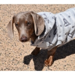 Nayeco Dog Sudadera Cap Amour Grey