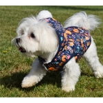 Nayeco Dog Chaqueta Cap Fox