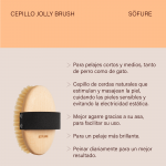 Cepillo Oval Cerdas Naturales Söfure Jolly brush