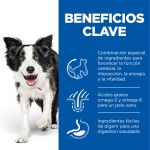 Pienso Hills Science Plan Vitality para perros medianos senior con pollo y arroz