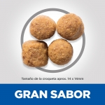 SP Adult Razas Grandes con Pollo. (1)