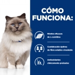 Hills Prescription Diet-PD Feline r/d (1)