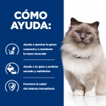 Hills Prescription Diet-PD Feline r/d (1)